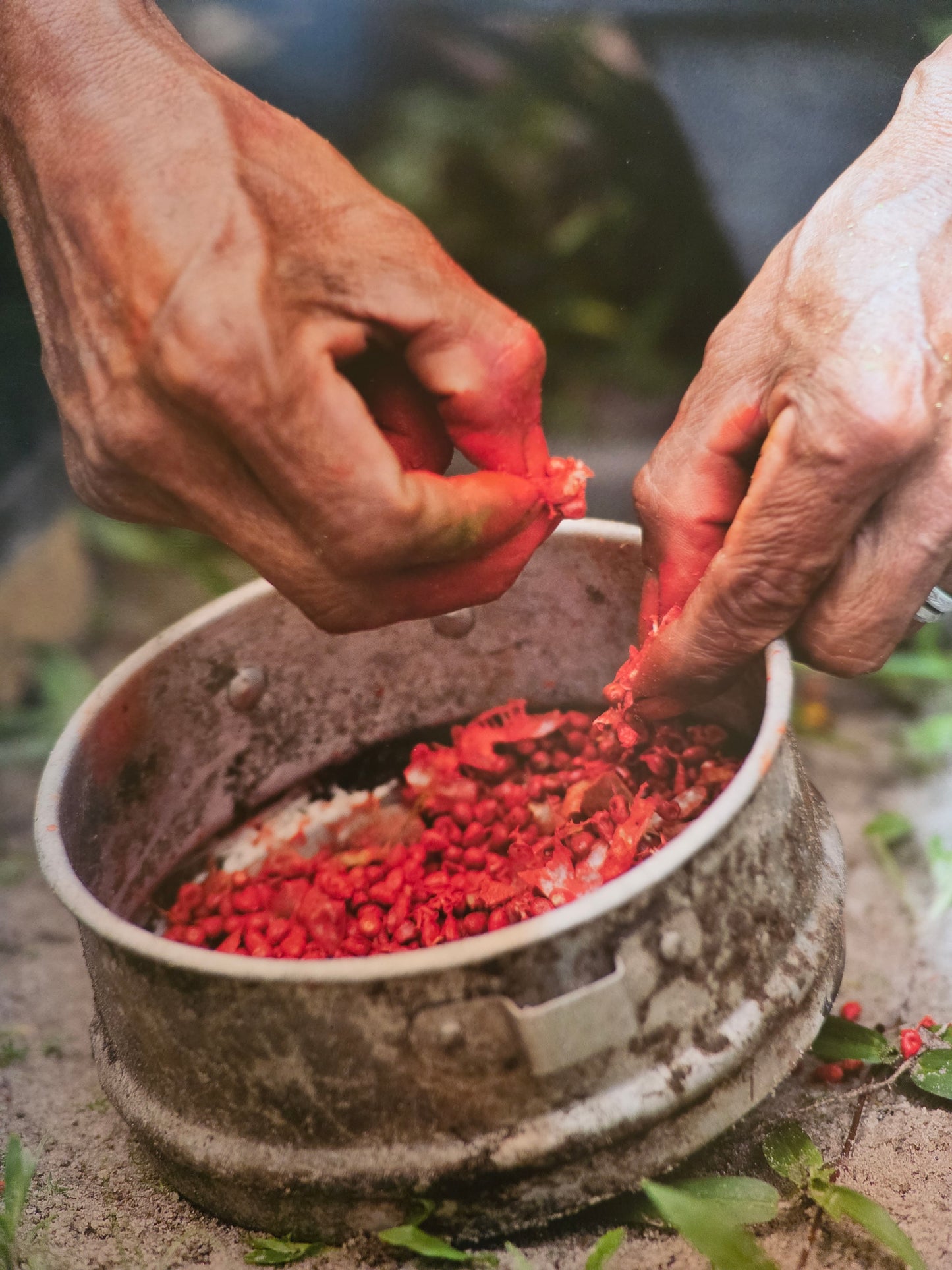 Lenguaje creativo de Etnias indígenas en Colombia
