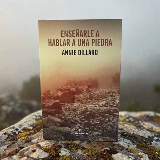 Enseñarle a hablar a una piedra