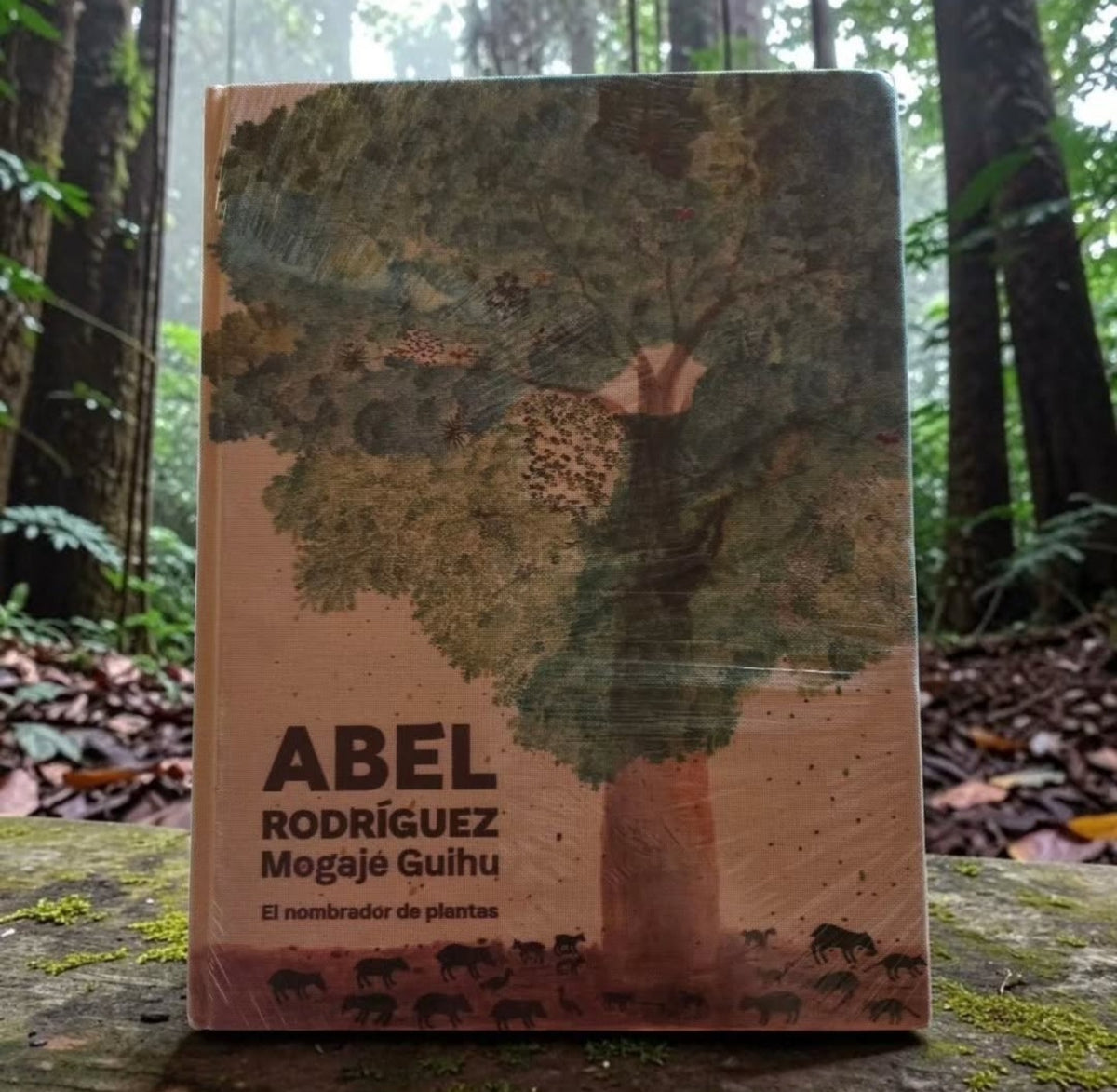 Abel Rodriguez. Mogaje Guihi.
El nombrador de plantas